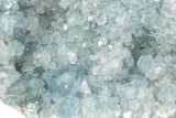 Sparkly Celestine (Celestite) Geode - Madagascar #228993-1
